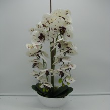 Орхидея 2 ветки латекс кашпо пластик